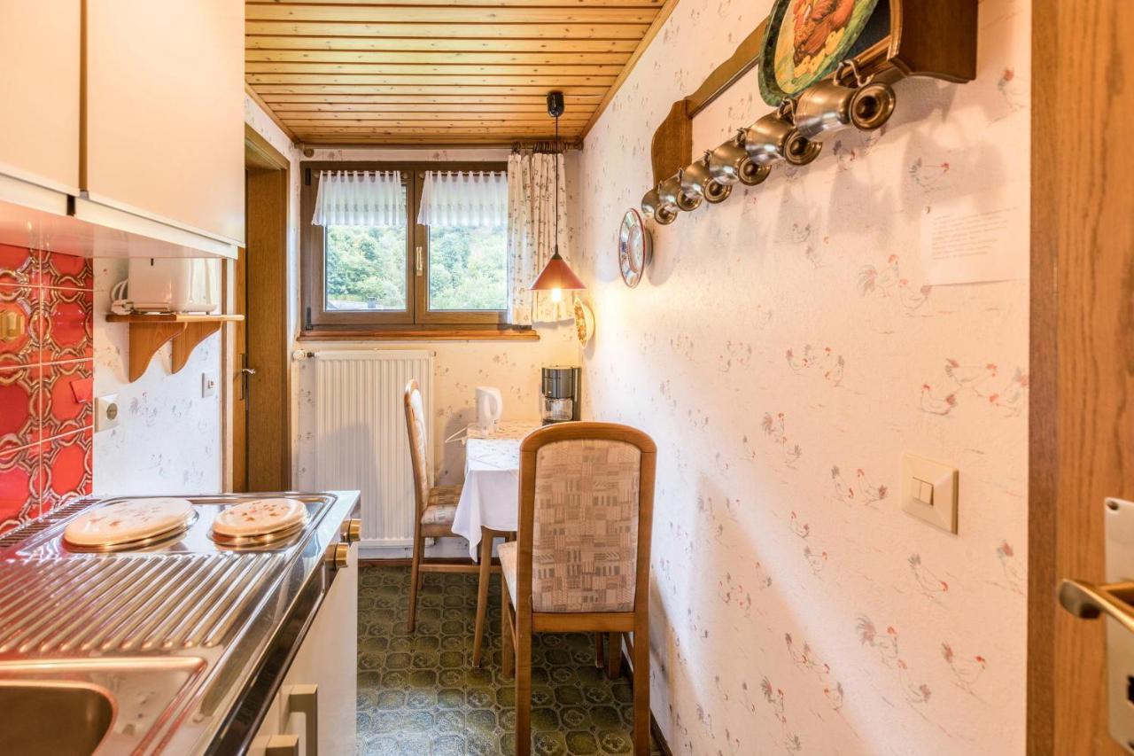 Am Wehrastrand App 4 Todtmoos Eksteriør billede